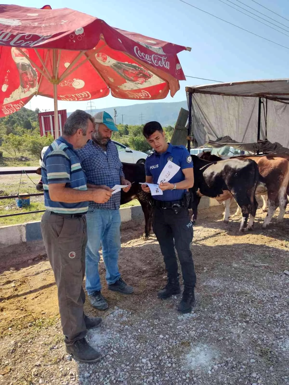 Son dakika haber: Polisten kurban satıcılarına dolandırıcılık uyarısı