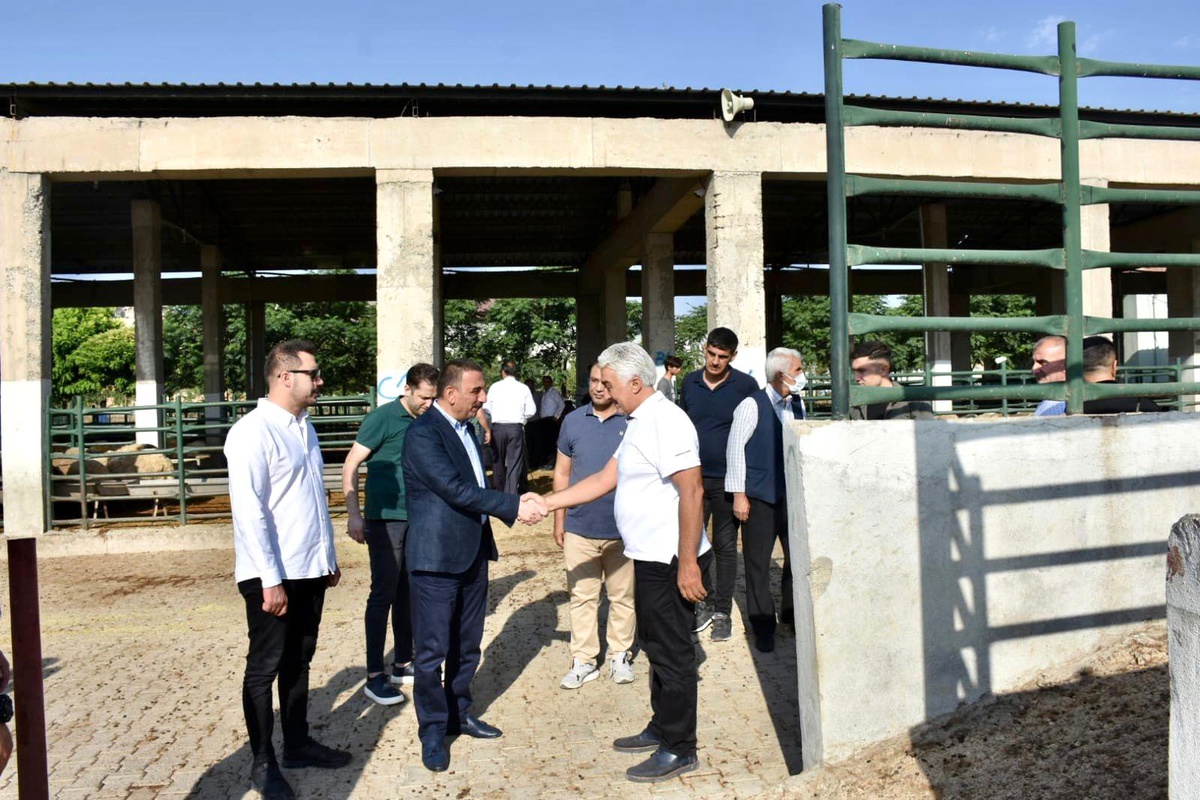 Siirt Valisi Hacıbektaşoğlu, kurban kesim alanlarını denetledi