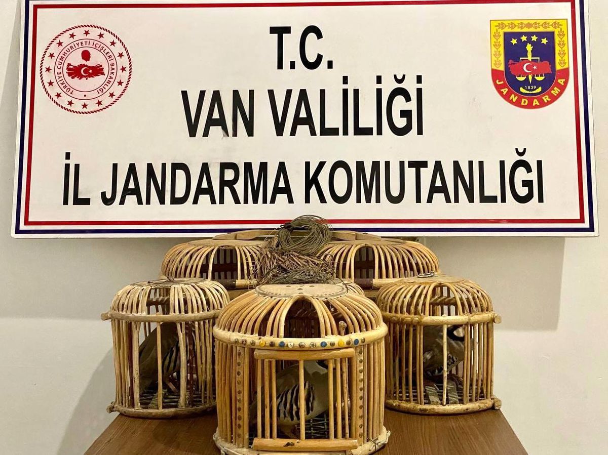 Başkale\'de 5 adet canlı keklik yakalandı