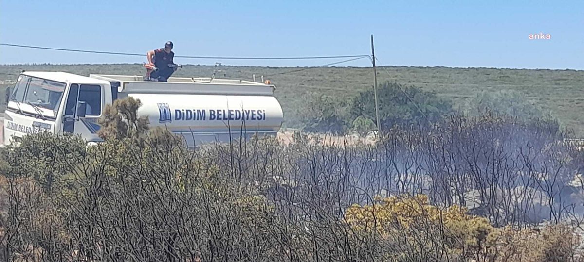 Didim\'de Başlayan Orman Yangını Söndürüldü