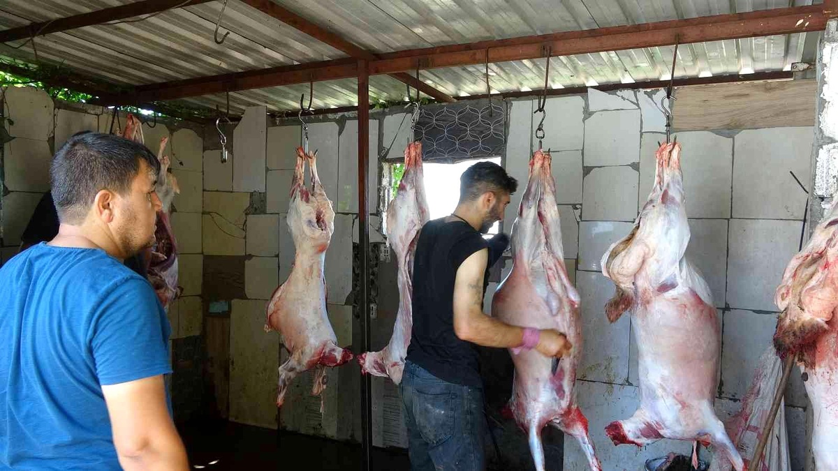 Diyarbakır\'da kestikleri 41 kurbanı 350 aileye dağıttılar