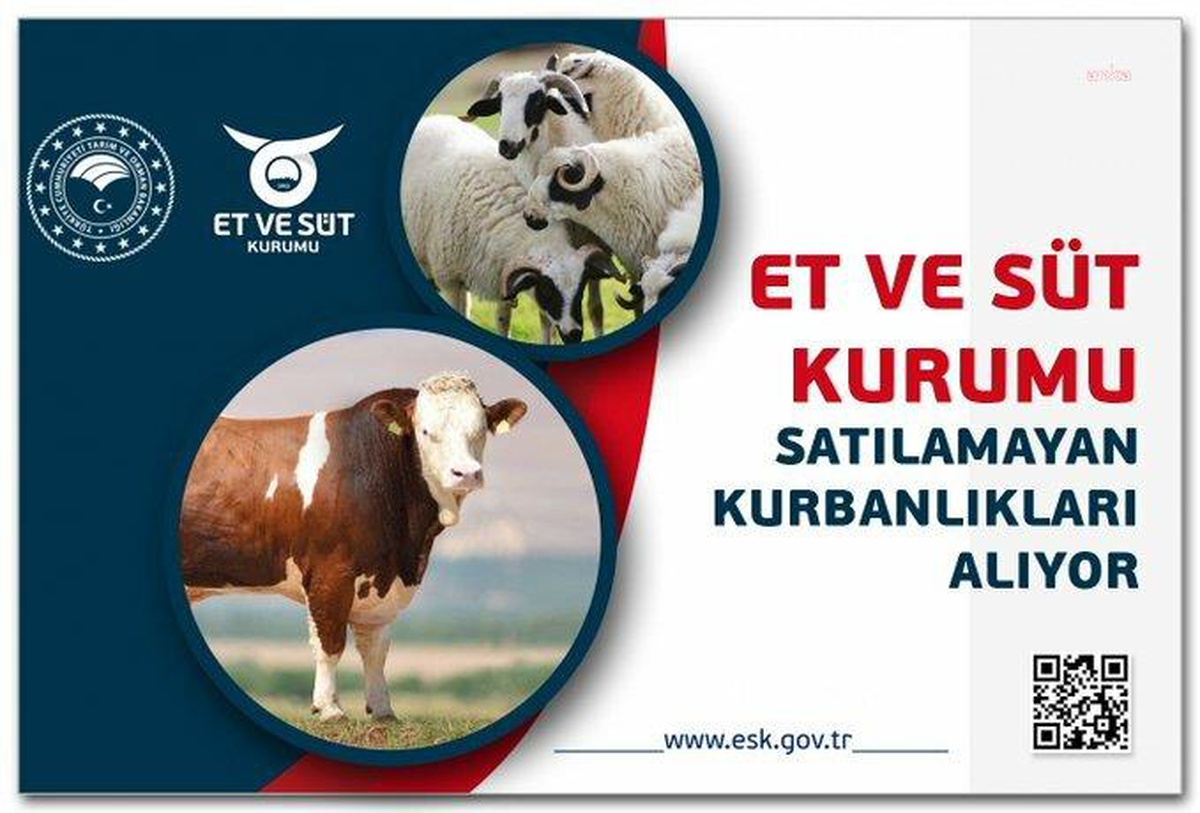 Et ve Süt Kurumu, Satılamayan Kurbanlıkları Satın Alacak