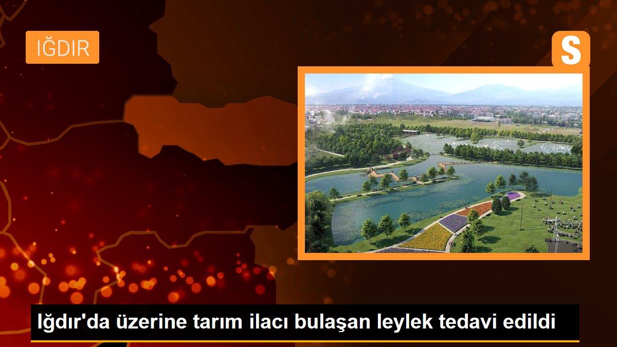 Iğdır\'da üzerine tarım ilacı bulaşan leylek tedavi edildi