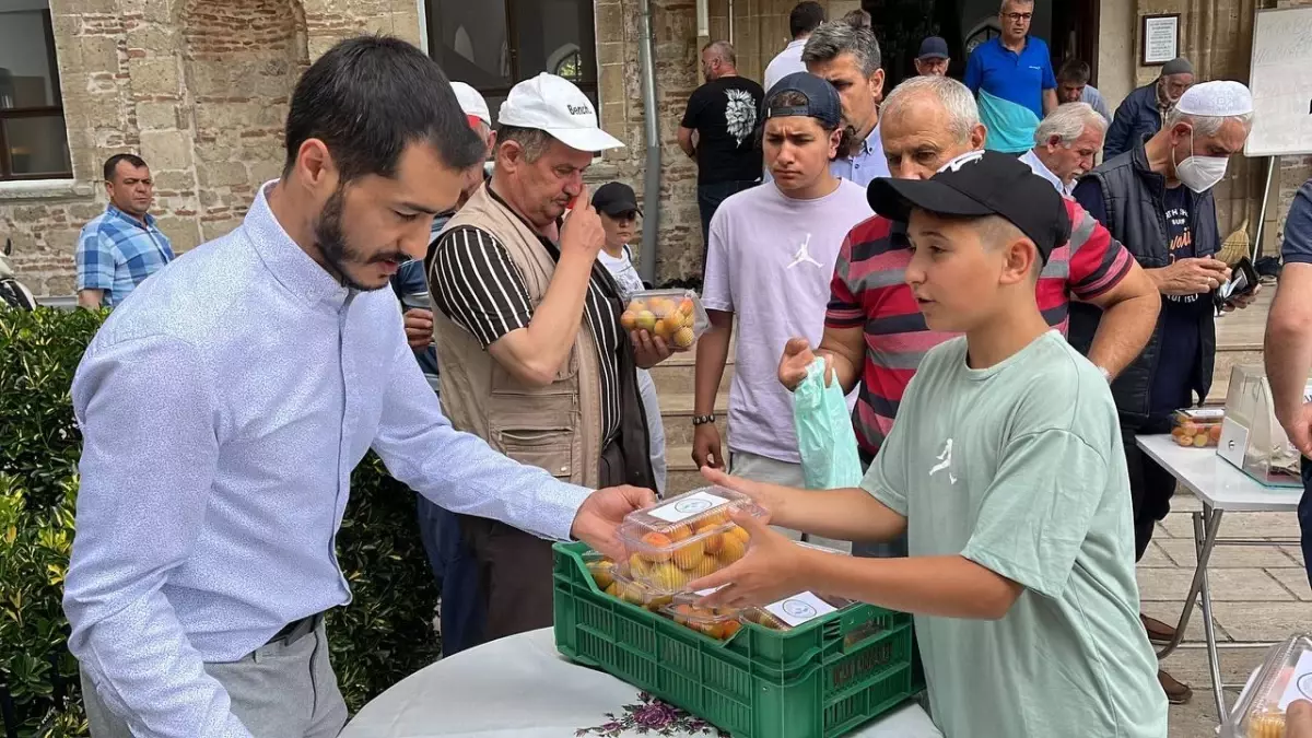 Öğrenciler, okulun bahçesinde ilaç kullanmadan kayısı üretti