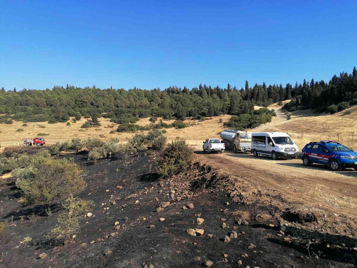 Son dakika: İzmir\'de otluk alanda çıkan yangınlara hızlı müdahale