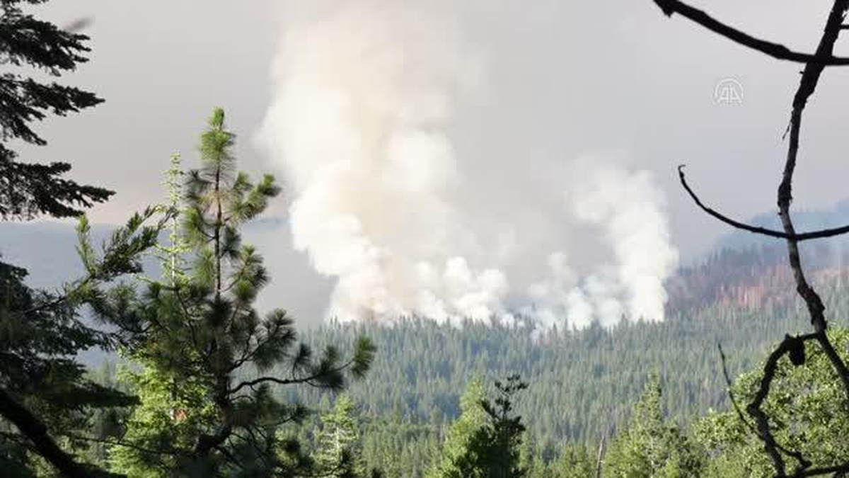 Son dakika haberleri: KALİFORNİYA - Yosemite Ulusal Parkı\'nda yangın