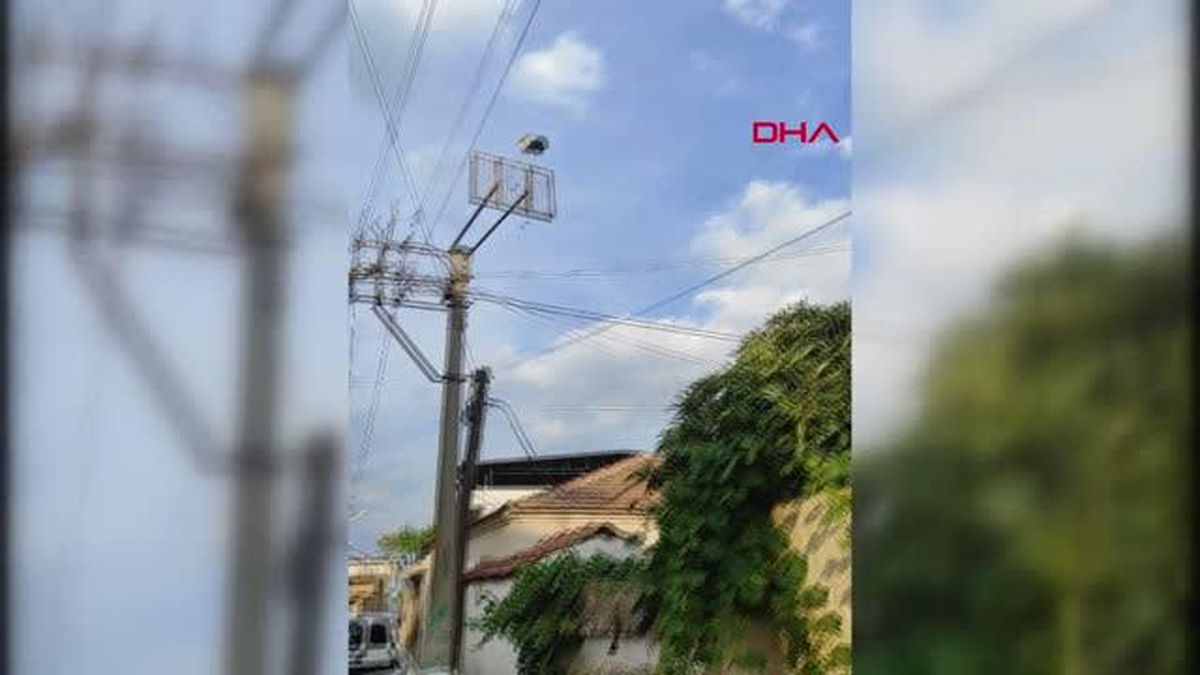 KANADI AMPUTE EDİLEN 'LAKLAK', ARTIK EMEKLİ HAYVANLAR ÇİFTLİĞİ'NDE