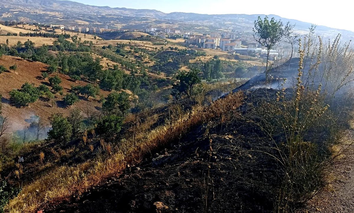 Son dakika haber! Piknikçiler yangına neden oldu
