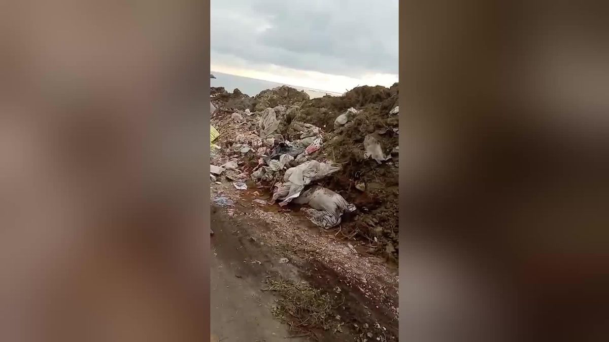 Rize'de, Sahil Dolgu Alanına Açılan Kuyulara Evsel Atık ve Kurban Atığı Döküldüğünü İddia Eden Muhtar Sarıhan: 'Kuyular Kazılarak Gömülüyor.