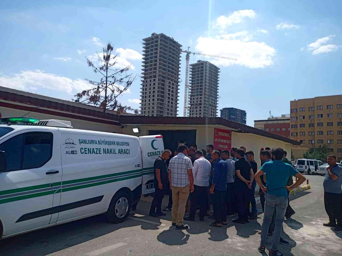 Son dakika haberleri | Şanlıurfa\'da elektrik akımına kapılan işçi öldü