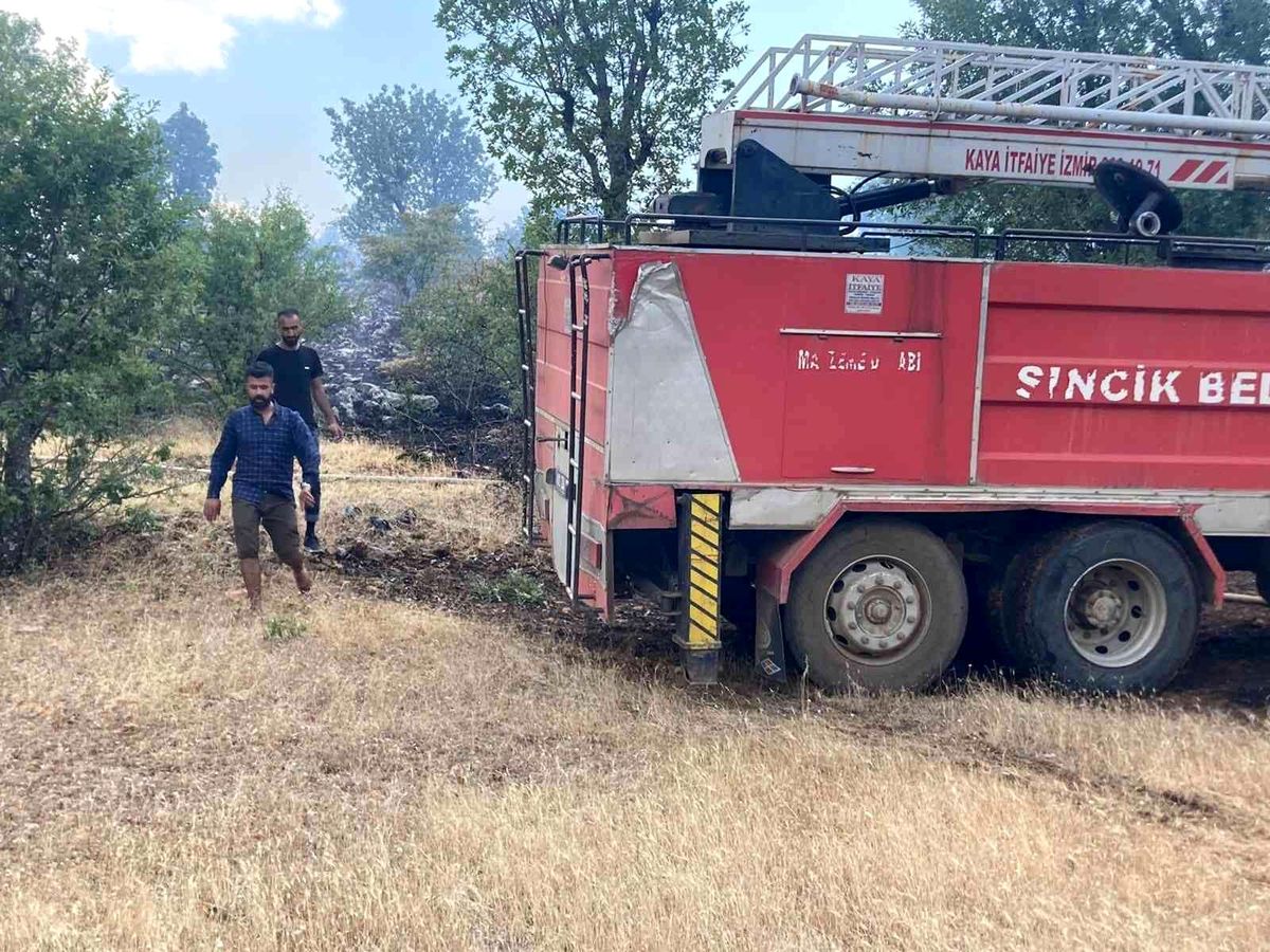 Sincik\'te ormanlık alandı yangın