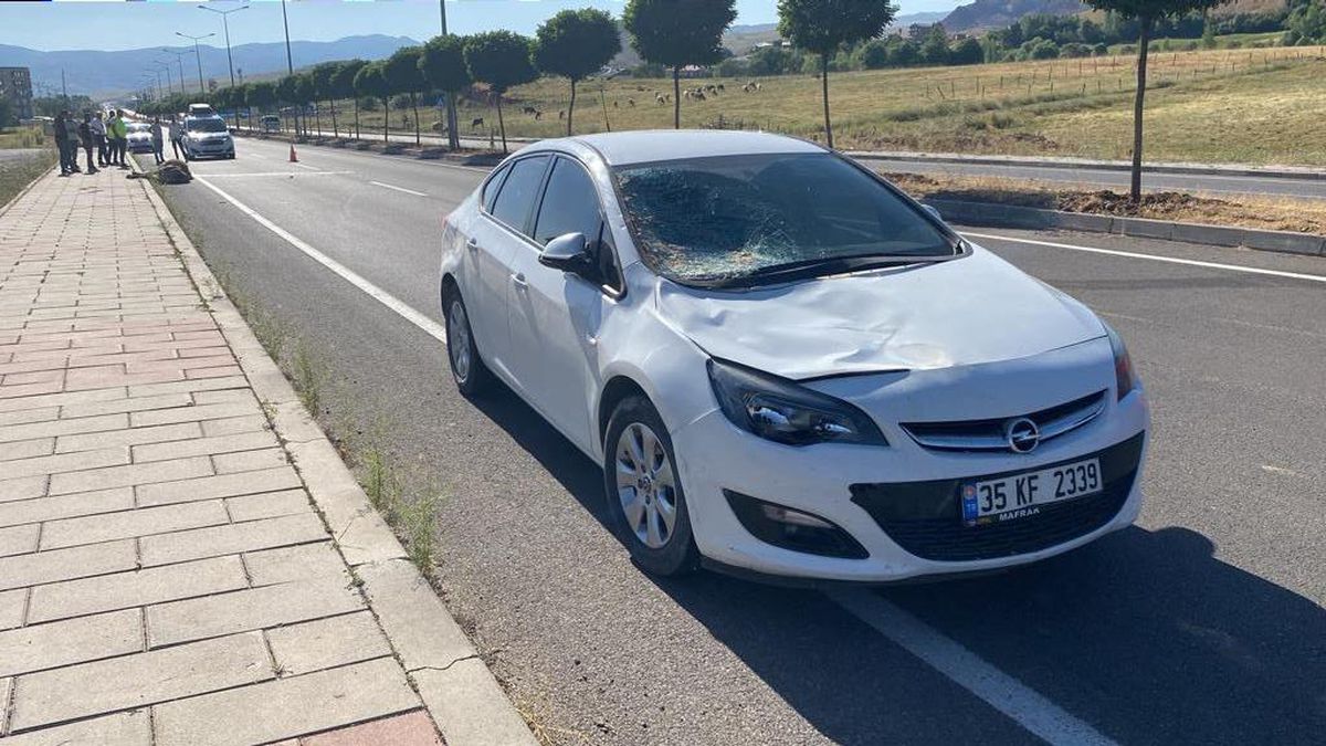 Bingöl\'de ineklere çarpan iki araçta hasar oluştu