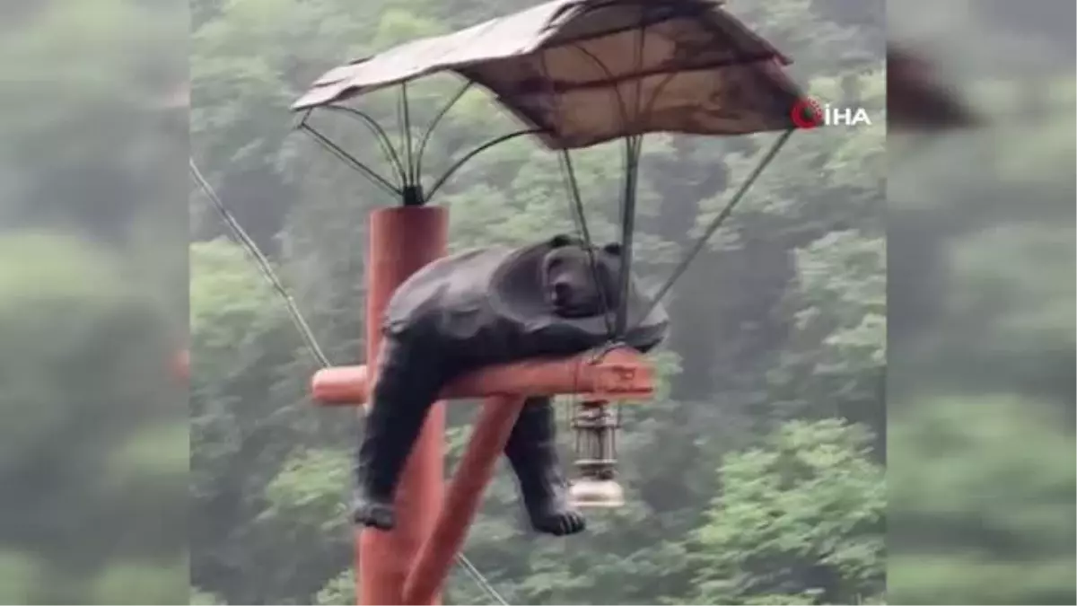 Evinin önüne astığı ayı maketi ile ilgi odağı oldu