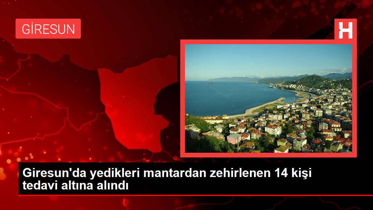 Giresun'da yedikleri mantardan zehirlenen 14 kişi tedavi altına alındı