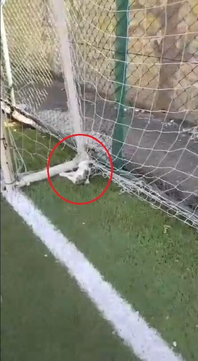 Futbol oynamaya giden gençler, kale ağlarına asılı iki kedi ölüsüyle karşılaştı Futbol oynamaya giden gençler, kale ağlarına asılı iki kedi ölüsüyle karşılaştı