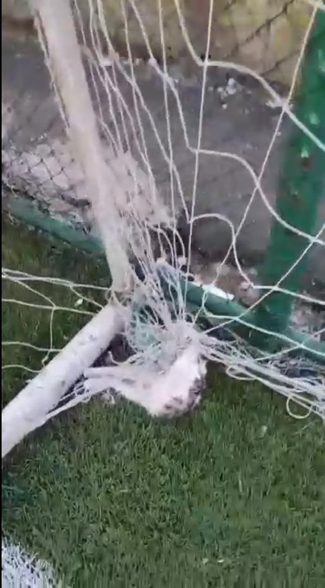 Futbol oynamaya giden gençler, kale ağlarına asılı iki kedi ölüsüyle karşılaştı Futbol oynamaya giden gençler, kale ağlarına asılı iki kedi ölüsüyle karşılaştı