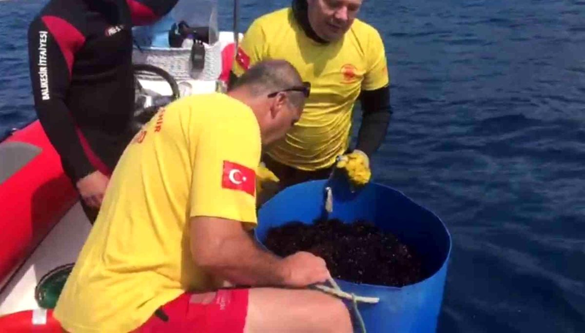 Son dakika haberleri: İtfaiyeciler bu sefer tatilcileri deniz kestanelerinden kurtardı