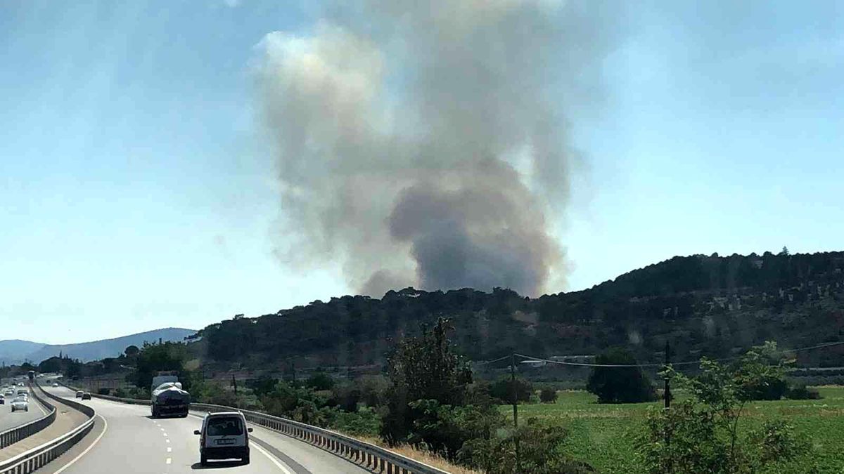 Son dakika haberi! İzmir\'de otluk alanda yangın