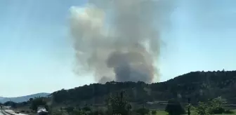 Son dakika haberi... İzmir'deki yangında 10 hektar makilik zarar gördü