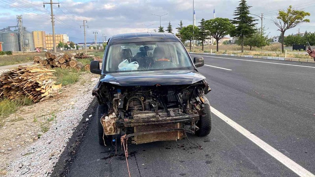 Otomobil, koyun sürüsüne daldı! Annesinin karnından fırlayan kuzu yürekleri parçaladı Otomobil, koyun sürüsüne daldı! Annesinin karnından fırlayan kuzu yürekleri parçaladı