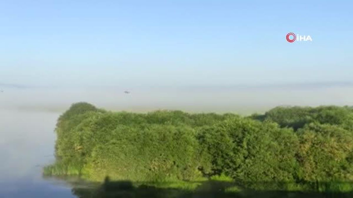 Sis tabakası görsel şölen sundu