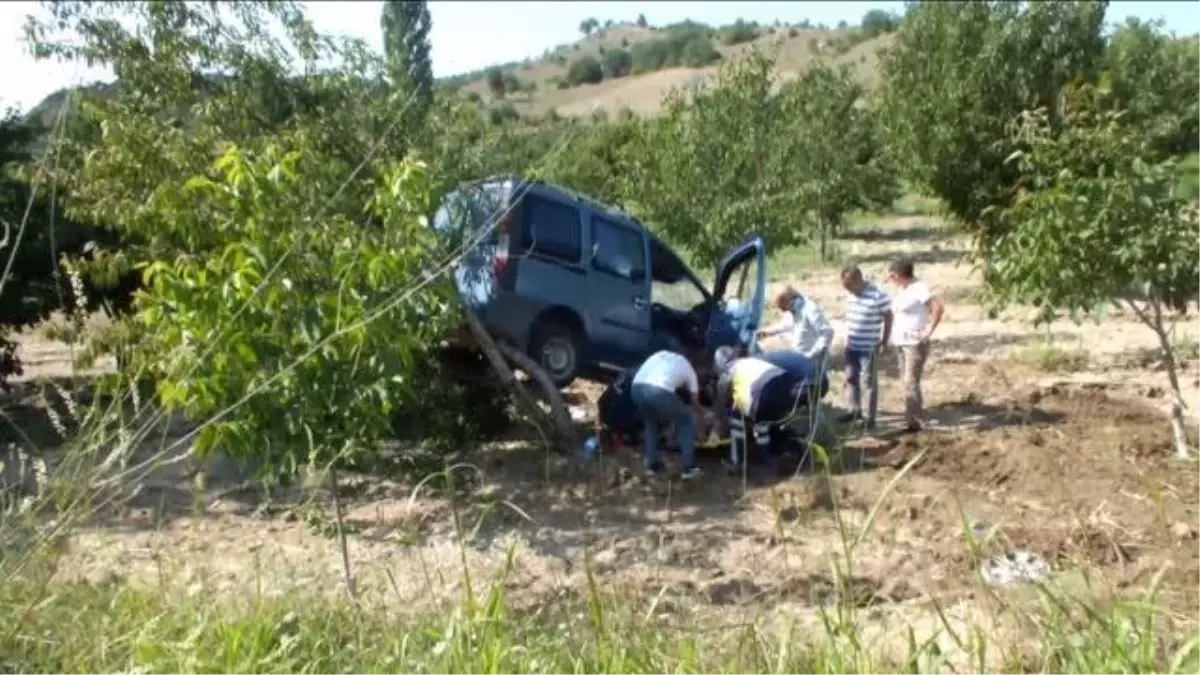 Tarlaya savrularak ağaçta asılı kalan araçtaki 2 kişi yaralandı