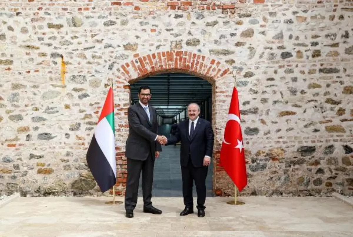 Son dakika haberi: Türkiye ve BAE heyetleri İstanbul'daki yatırım çalıştayında bir araya geldi