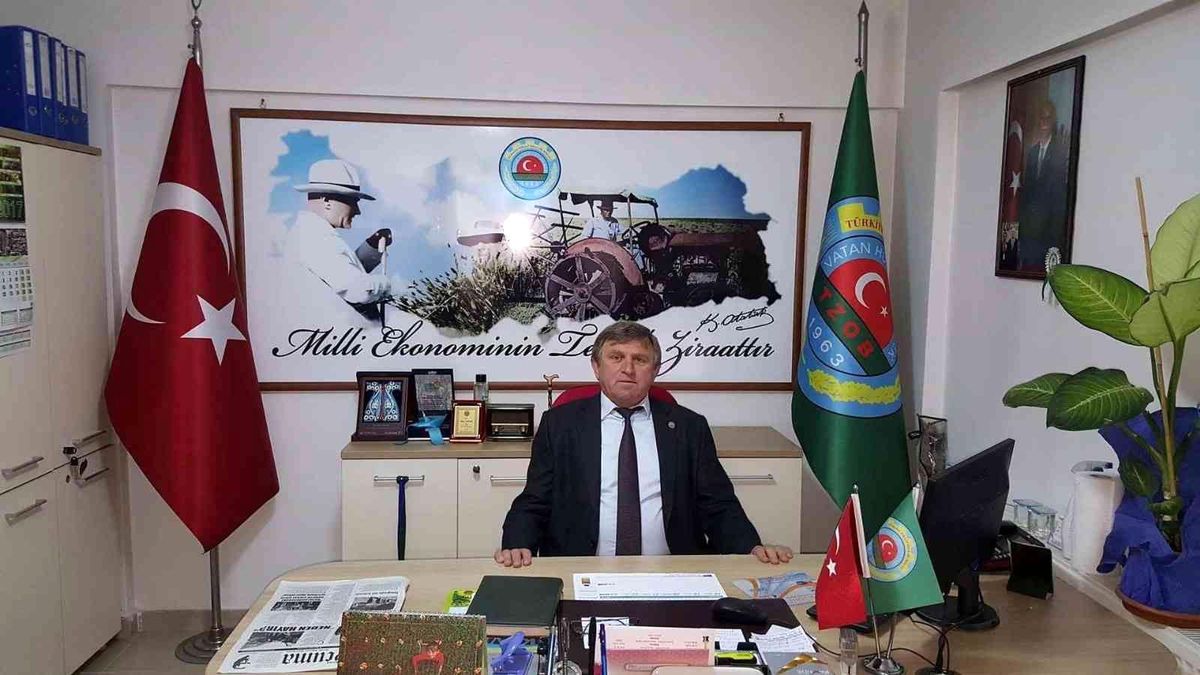 Başkan Çapkın, 'Fındığın fiyatı en az 53 TL olmalı'