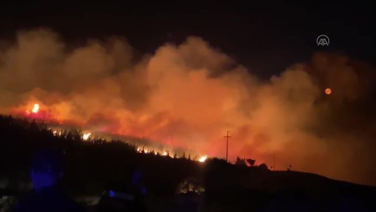 Çeşme'de makilik alanda çıkan yangına müdahale ediliyor (8)