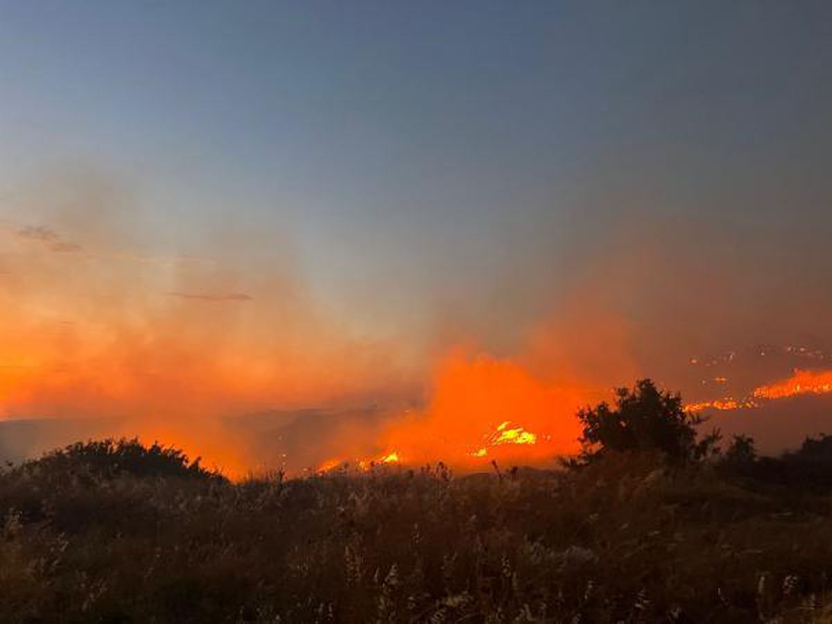Son dakika! Çeşme\'de makilik yangını; 7 gözaltı (6)