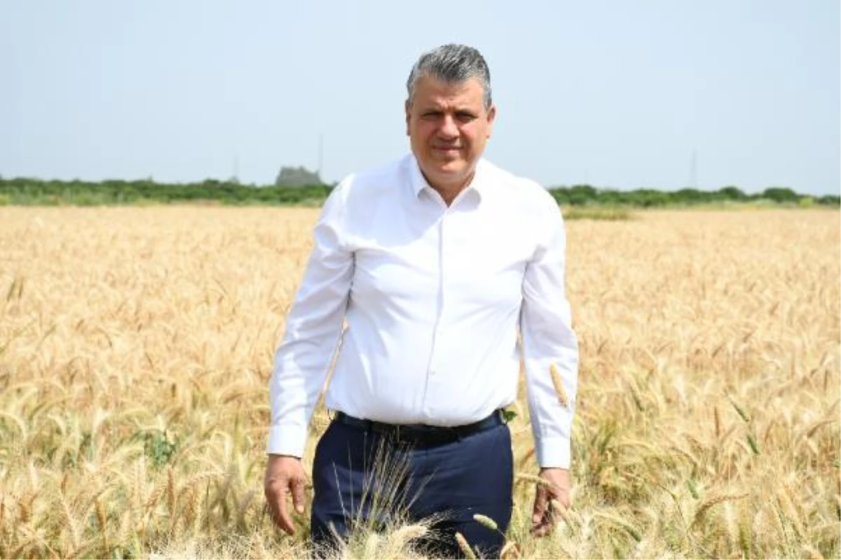 CHP\'li Barut: İstanbul\'daki tahıl koridoru zirvesi önemli