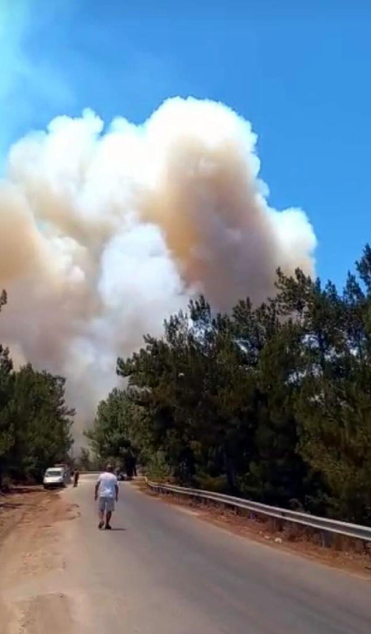 Son dakika: DATÇA'DA ORMAN YANGINI -2