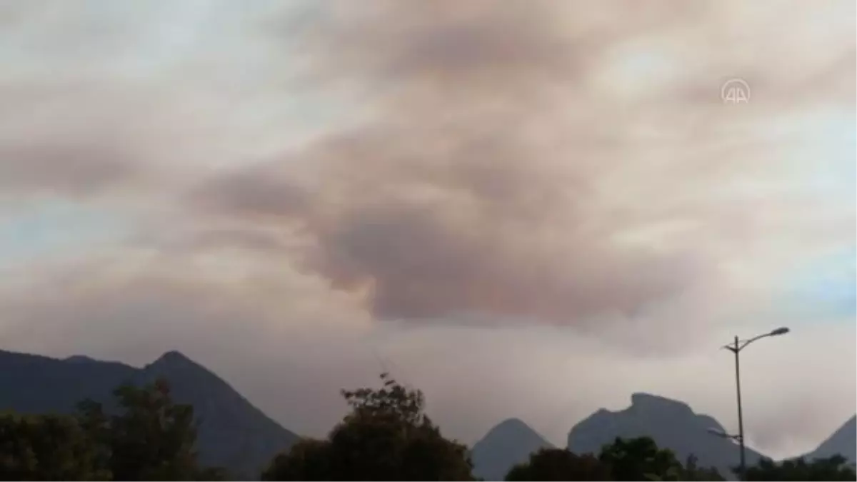 Datça'da orman yangını (10)