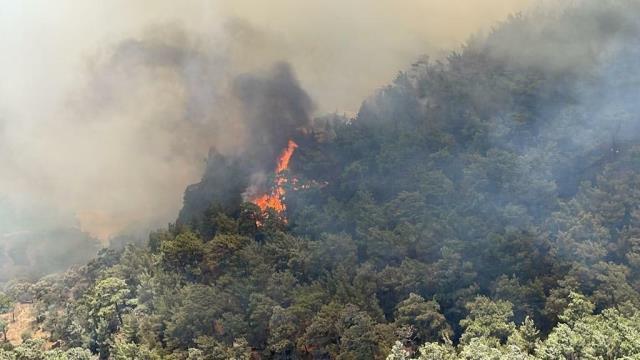 Datça'daki orman yangını rüzgarın etkisiyle büyüdü! Söndürme çalışmaları havadan ve karadan sürüyor
