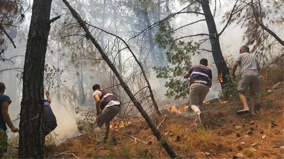 Datça\'daki çıkan orman yangını yerleşim bölgelerine yakın yerlere sıçradı! Evler tahliye edildi