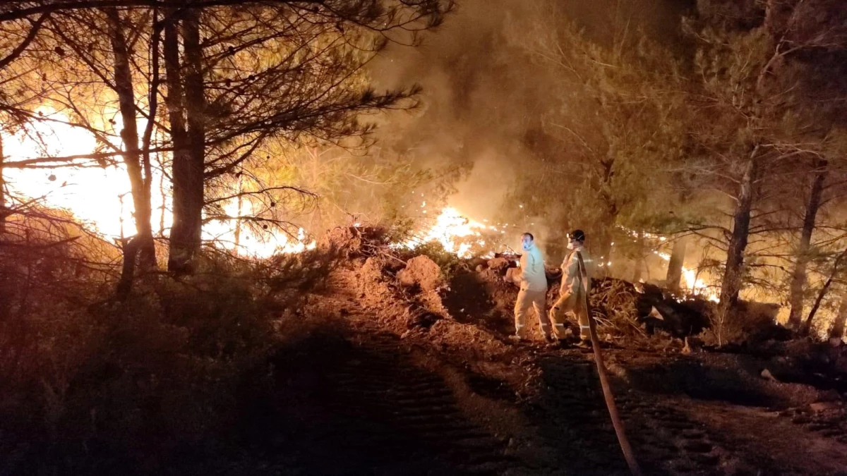 Son dakika: Datça\'daki orman yangınında çalışmalar gece de devam ediyor