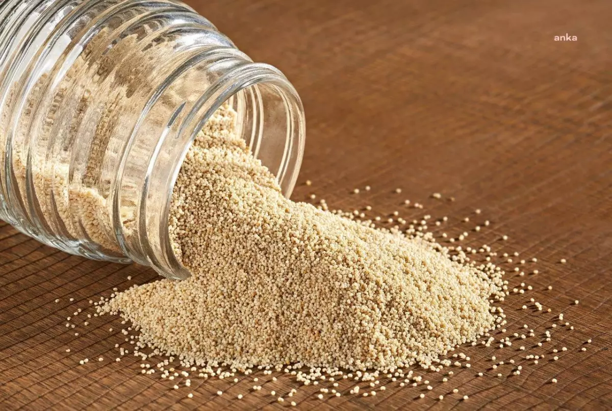 Ege İhracatçı Birlikleri: Türkiye, 2,5 Yıl Sonra Hindistan\'a 67 Milyon Dolarlık Beyaz Haşhaş İhraç Etti