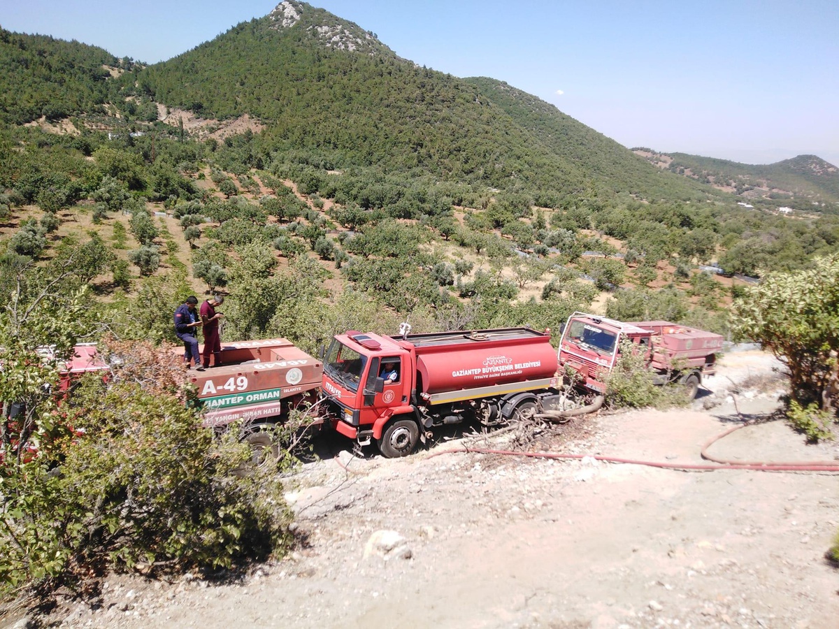 Son dakika: Gaziantep\'te örtü yangınında 1,5 hektarlık alan zarar gördü