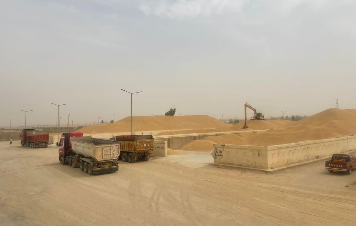 Irak, Kerkük\'te çiftçilerden 180 bin ton buğday satın aldı
