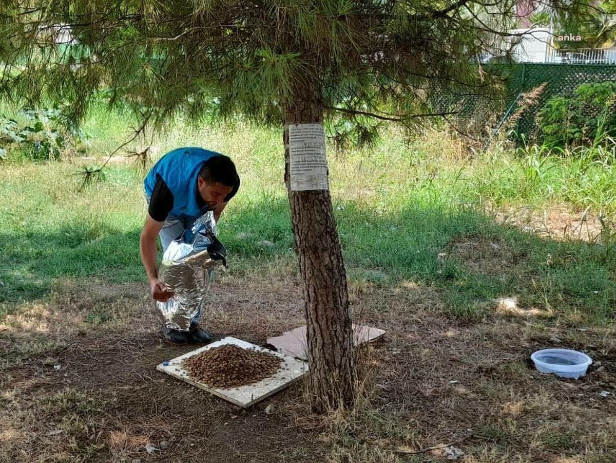 İzmit Belediyesi, Bayramda Sokaktaki Canları Unutmadı