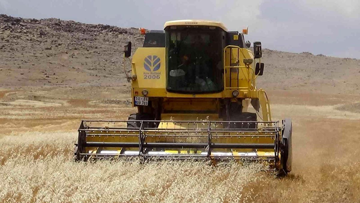 Kilis\'te Hububat hasadı sona erdi