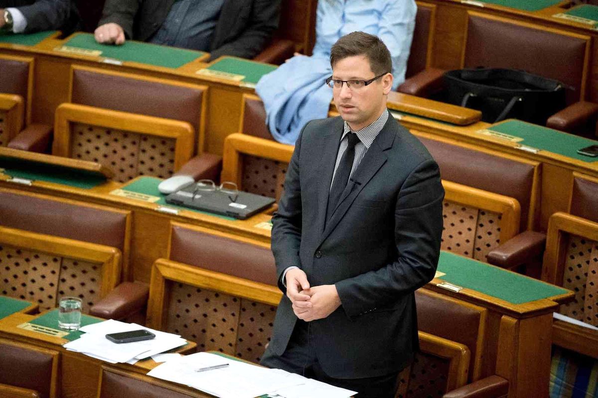 Macaristan\'da enerji sektöründe "acil durum" ilan edildi