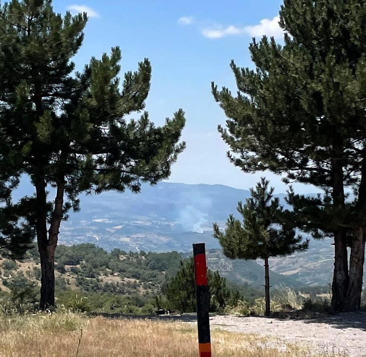 Manisa\'da çıkan orman yangını kontrol altına alındı