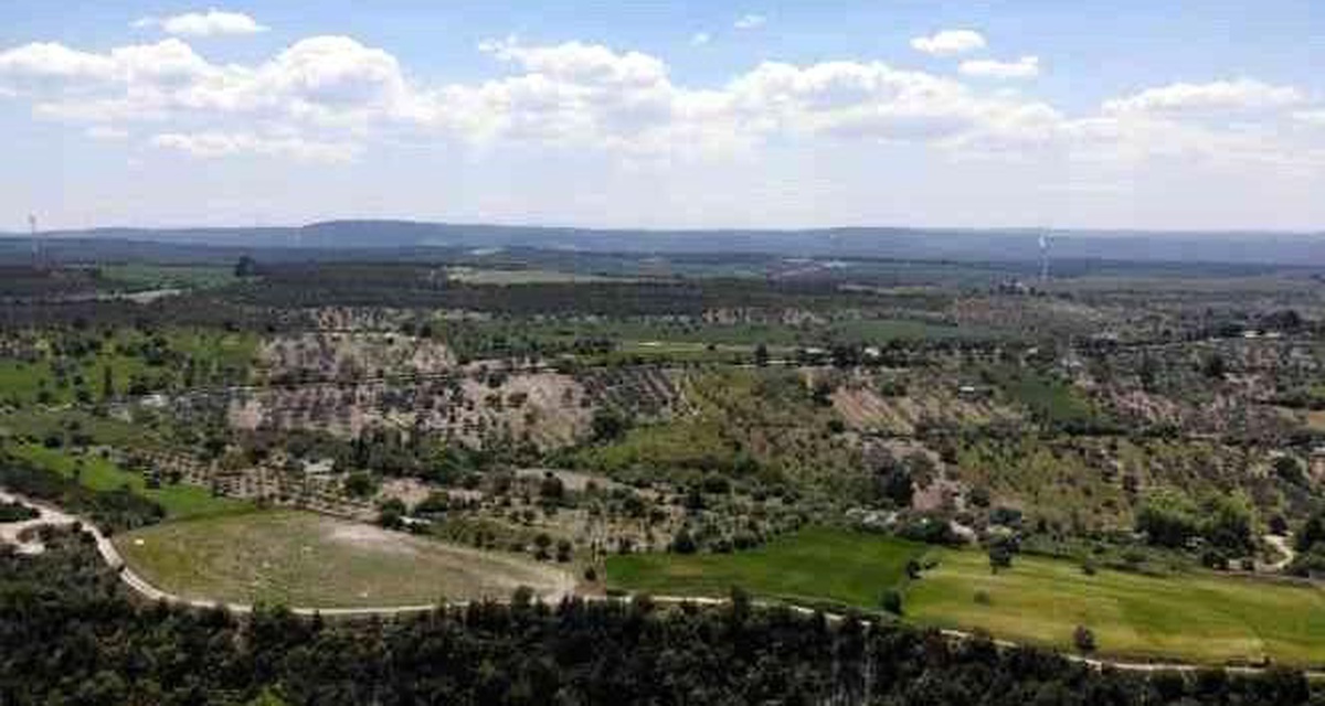 Meteoroloji orman yangınlarına karşı uyardı