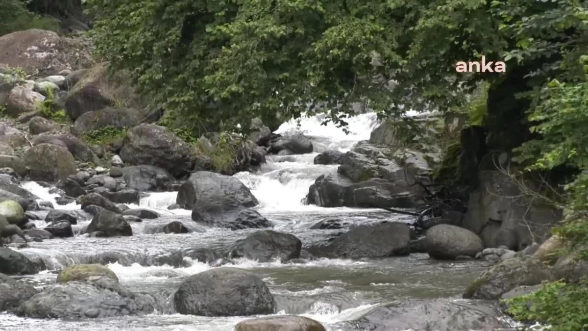 Pilarget Vadisi'nin Halkı, Hes'e Karşı Yürüttüğü Hukuk Mücadelesini İkinci Kez Kazandı