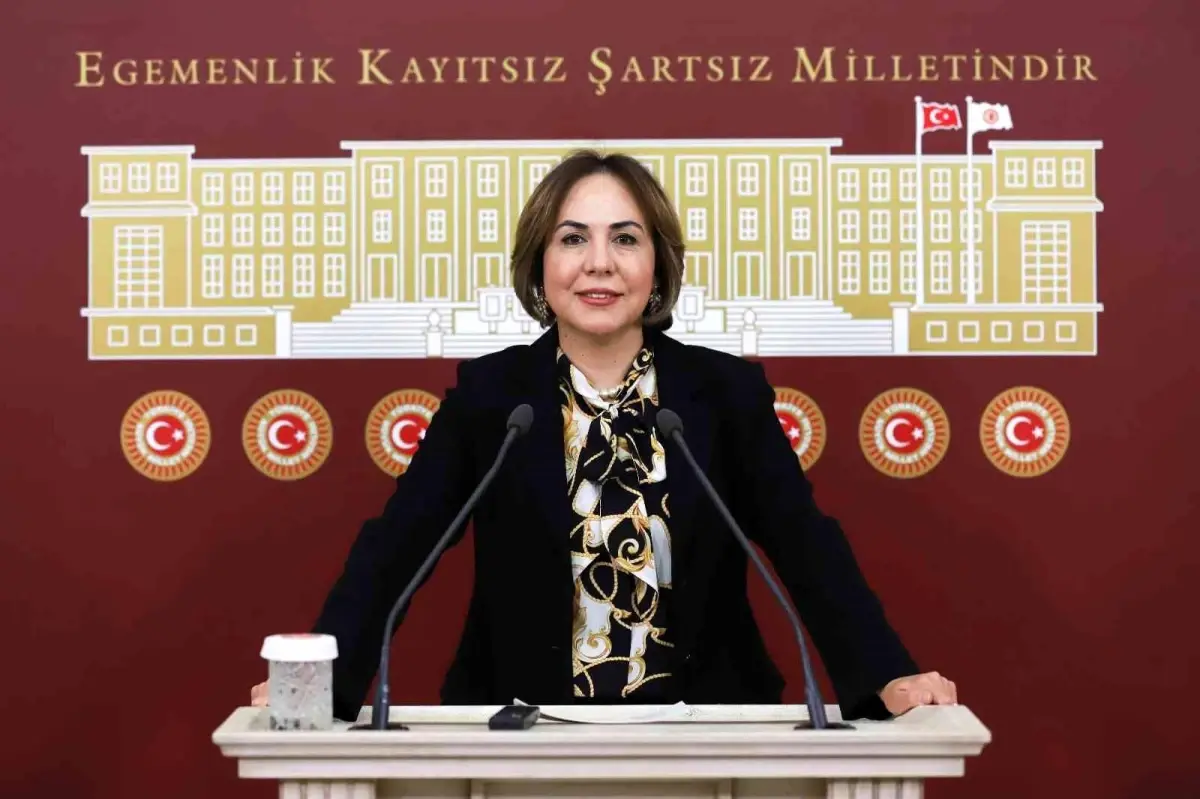 AK Parti\'li Yılmaz: "15 Temmuz hain darbe girişimi, Kurtuluş Savaşı ruhuyla püskürtüldü"