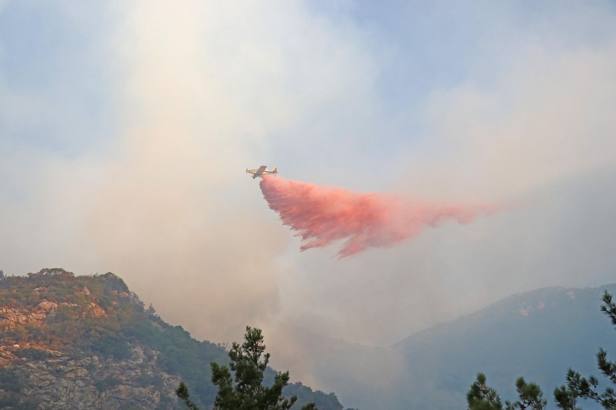 Datça'daki yangına 5 uçak ve 12 helikopterle müdahale ediliyor (4)