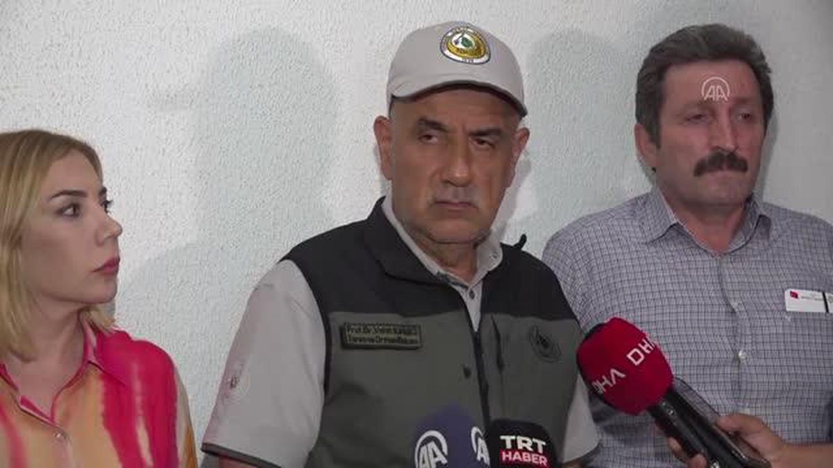 Kirişci: '(Datça yangını) Elektrik trafosundan çıktığı şu anki tespitlerimiz arasında'