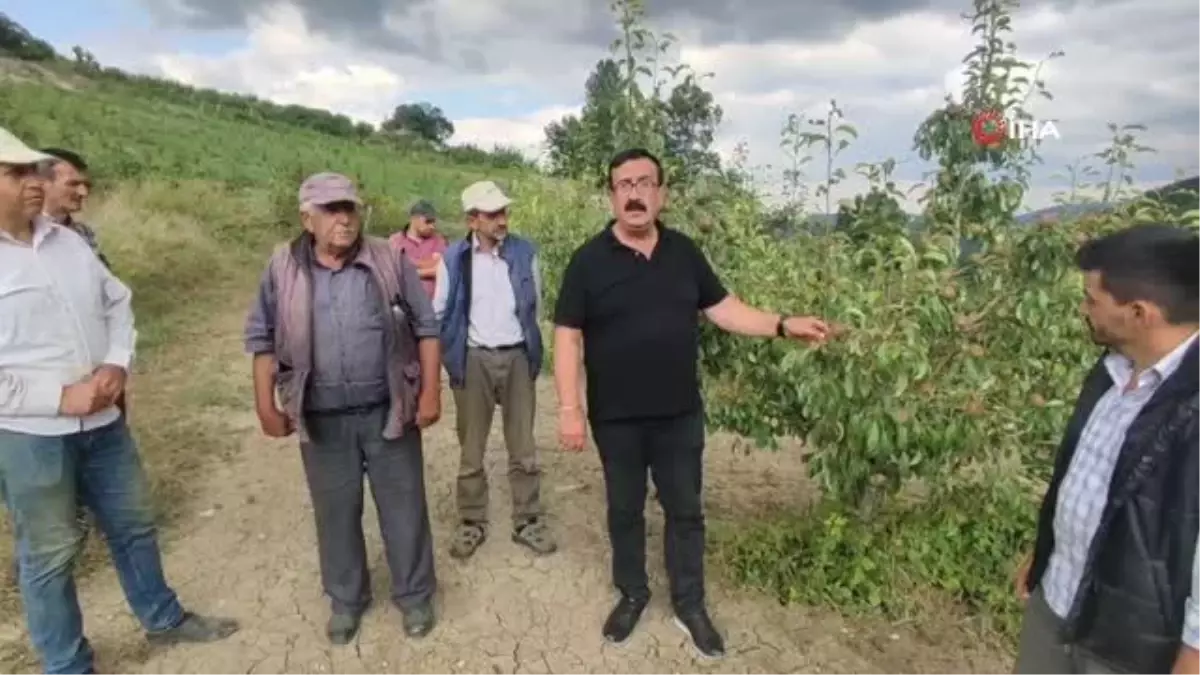 Sağanak yağış ve dolu çiftçiyi 20 milyon TL zarara uğrattı