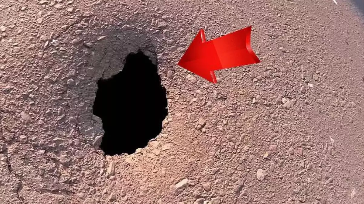 Tek ısırığı 100 kişiyi öldürüyor! Torunları Türkiye\'de yaşayan dünyanın en zehirli yılanı yuvasını terk etti